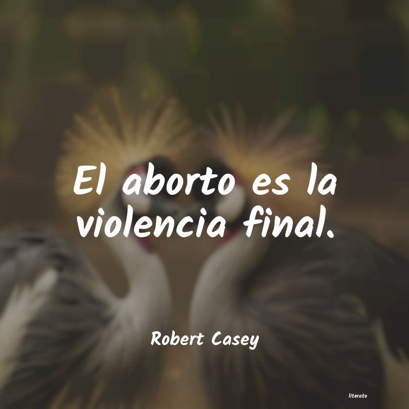 Frases de Robert Casey