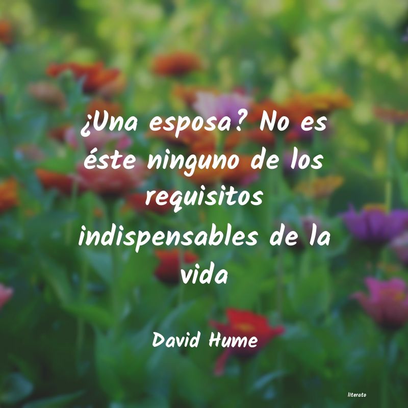 Frases de David Hume