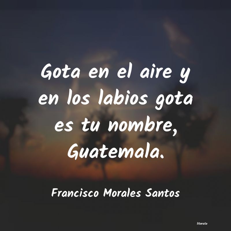 frases de Francisco Morales Santos
