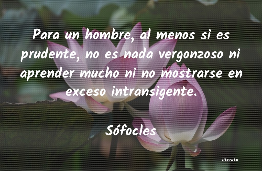 Frases de Sófocles