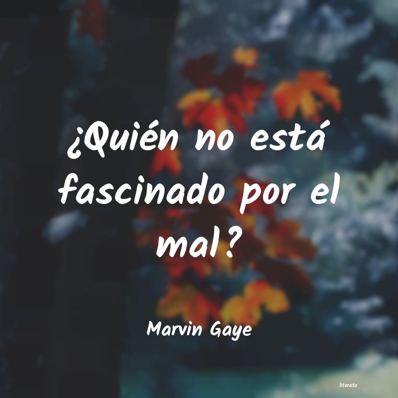 Frases de Marvin Gaye