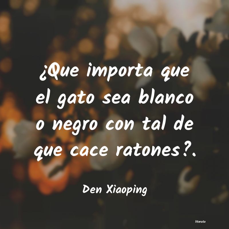 frases de Den Xiaoping