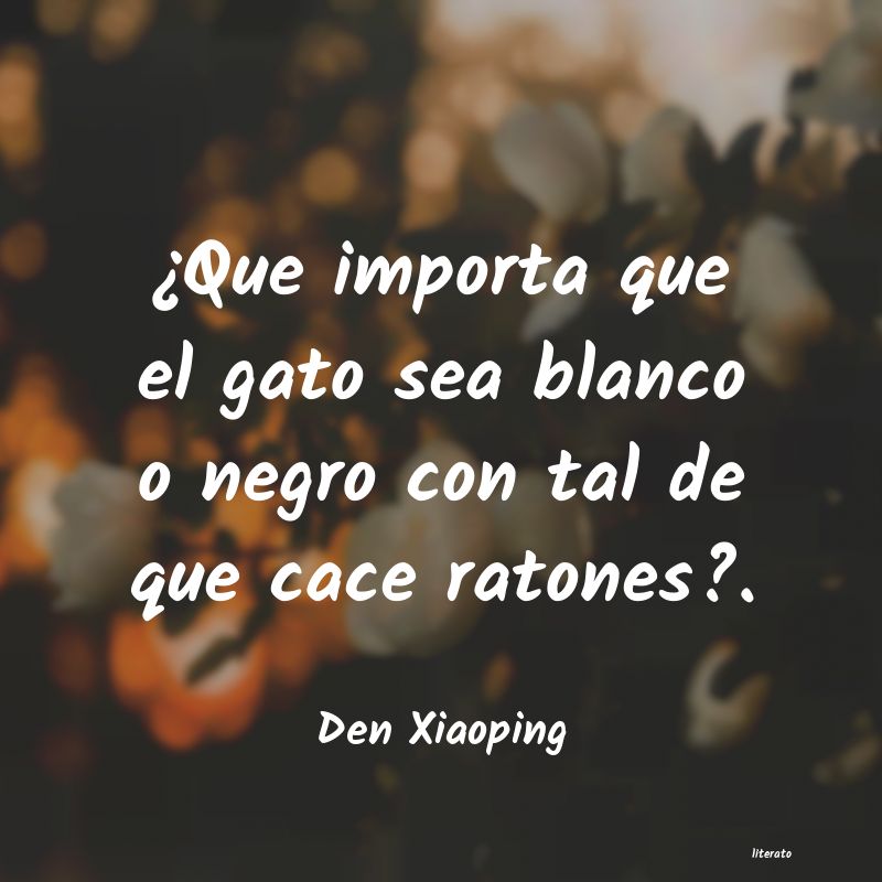 Frases de Den Xiaoping