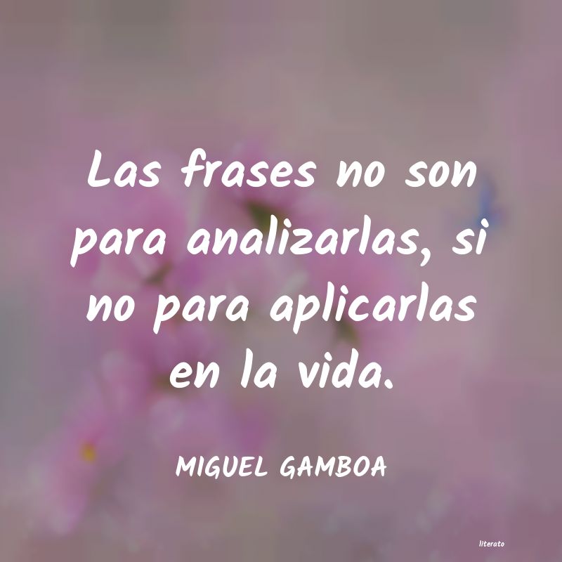 Frases de MIGUEL GAMBOA