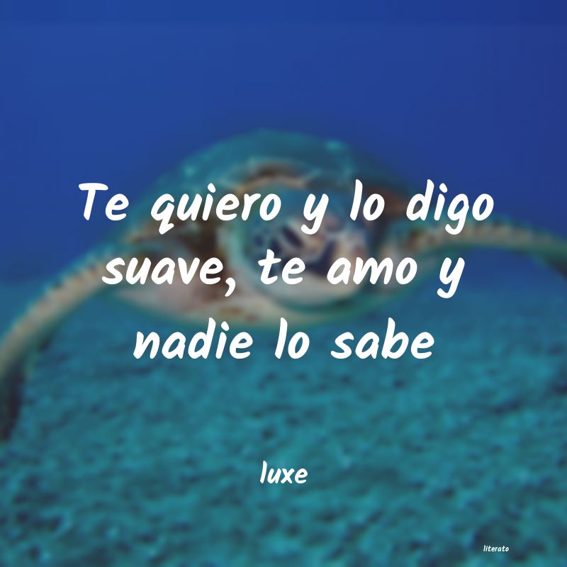 frases de luxe