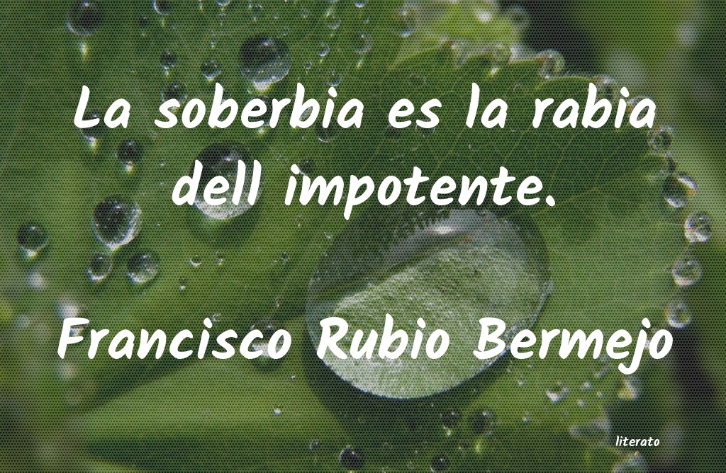 frases de Francisco Rubio Bermejo