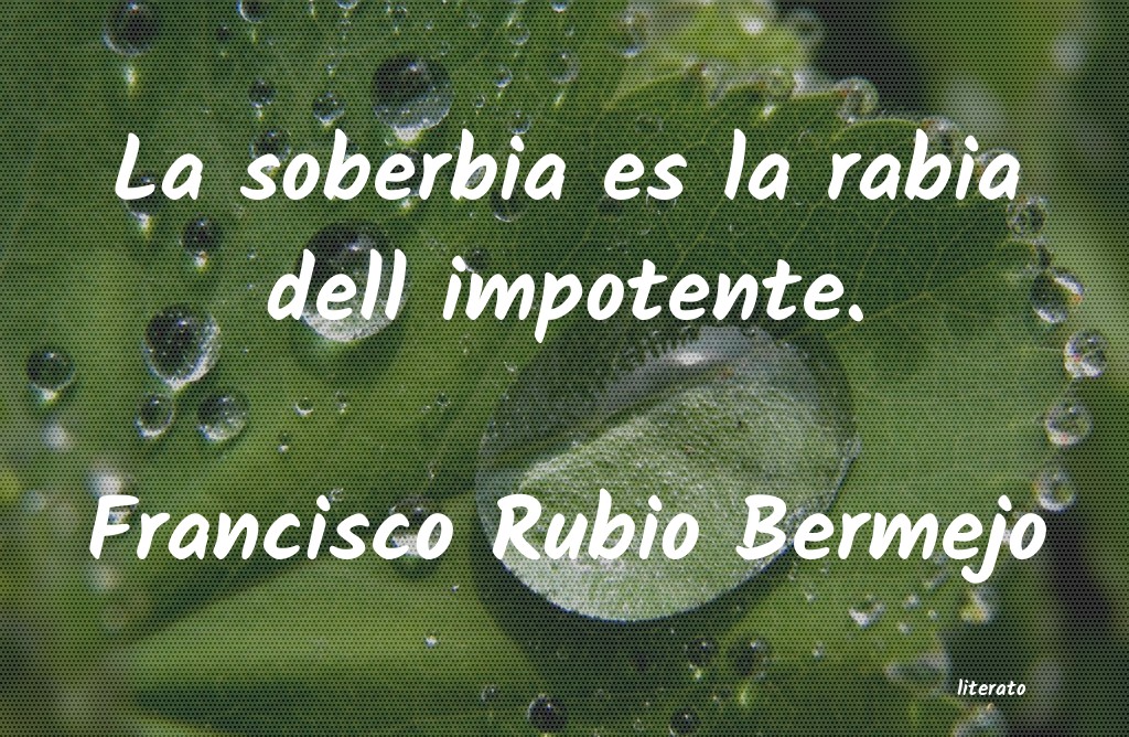 Frases de Francisco Rubio Bermejo