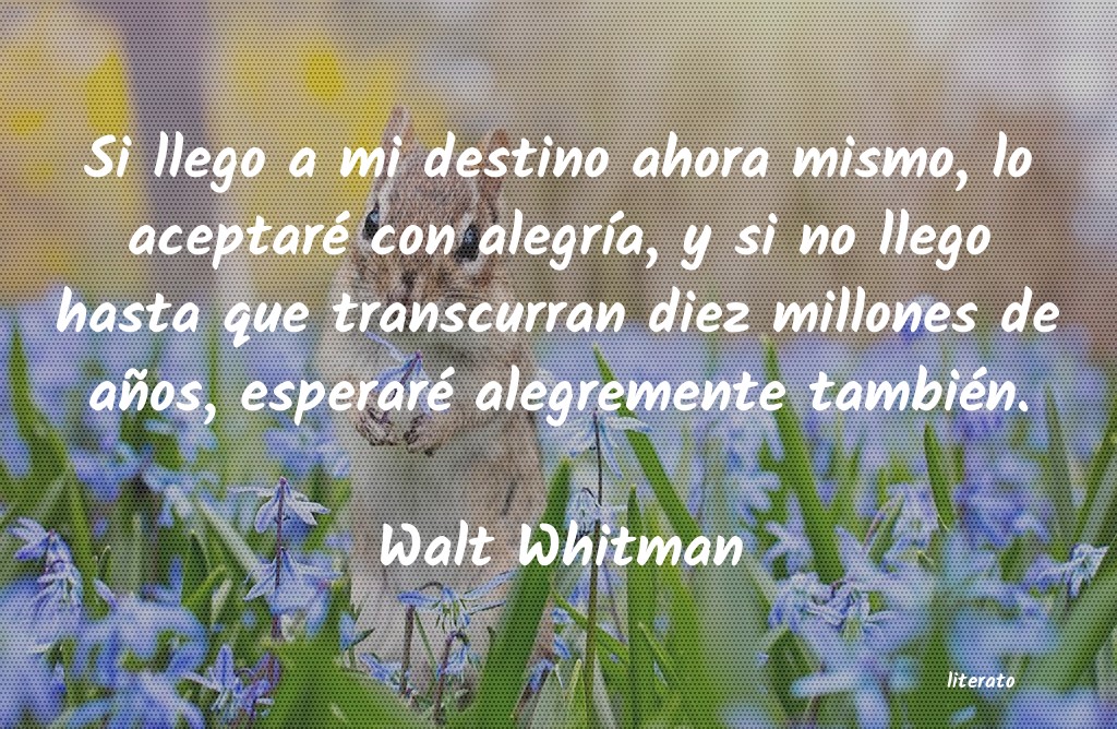 Walt Whitman: Si llego a mi destino ahora mi