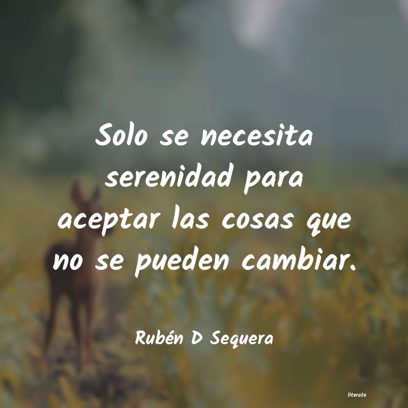 frases de Rubén D Sequera