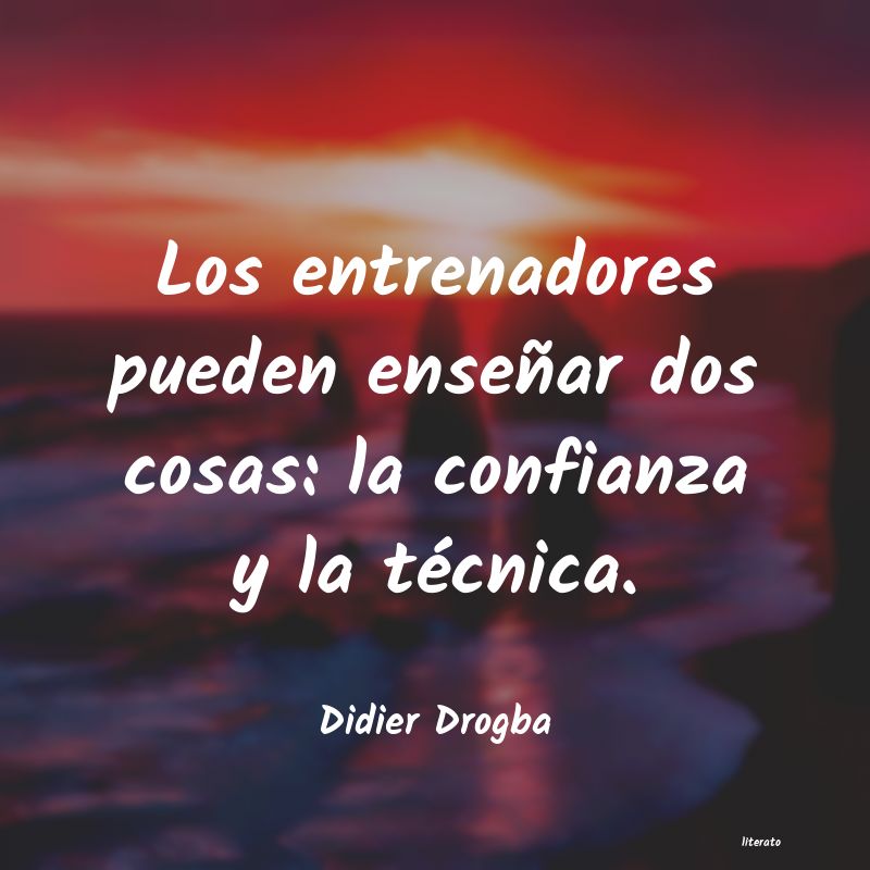 frases de Didier Drogba