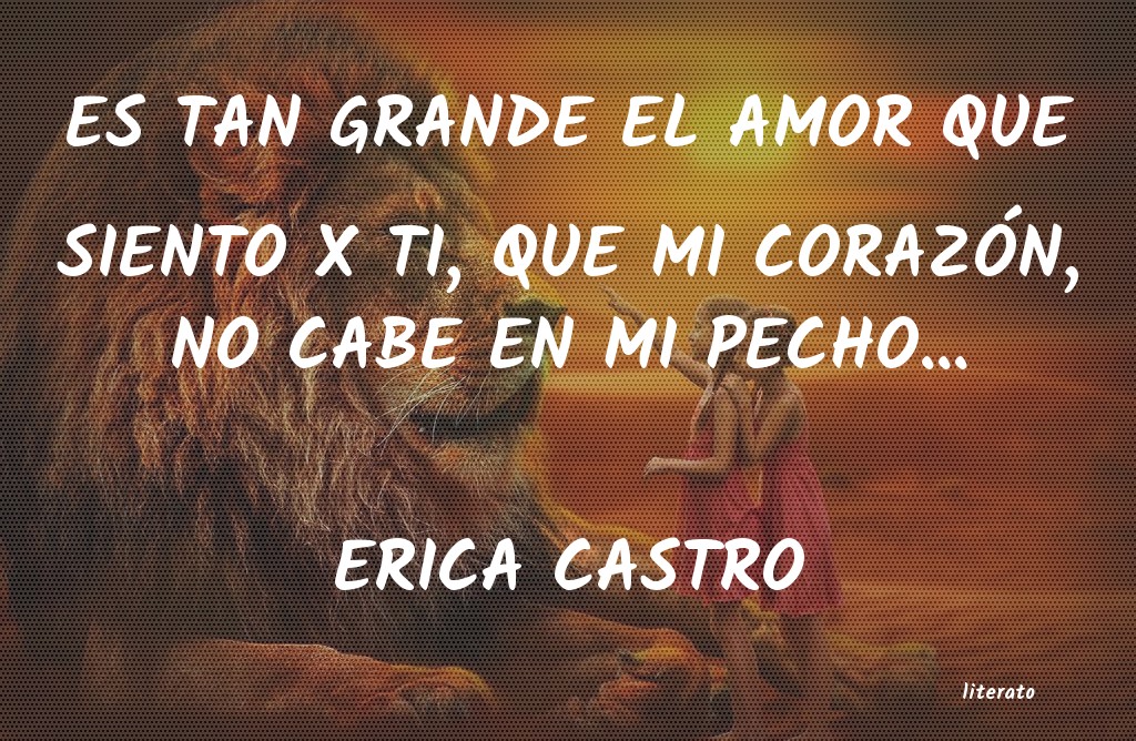 frases de ERICA CASTRO