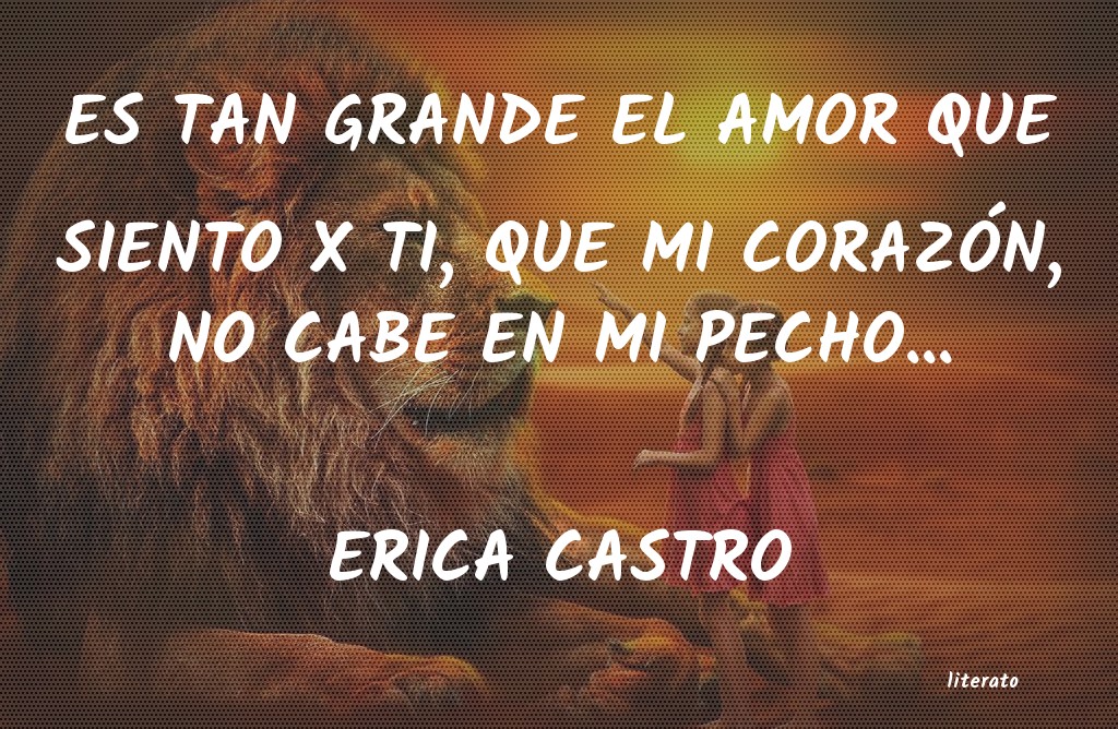 Frases de ERICA CASTRO