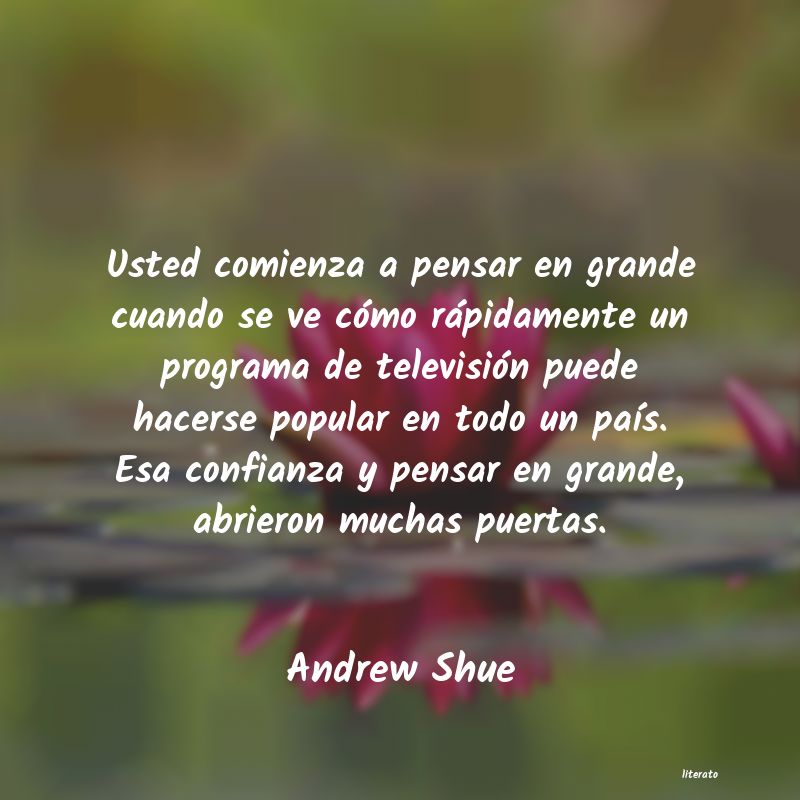 Frases de Andrew Shue