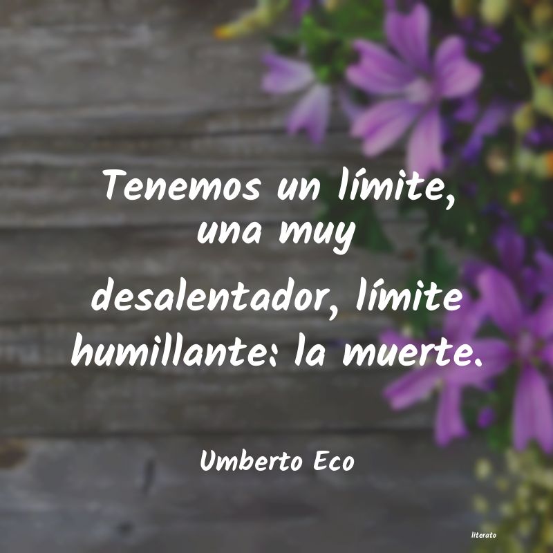 Frases de Umberto Eco