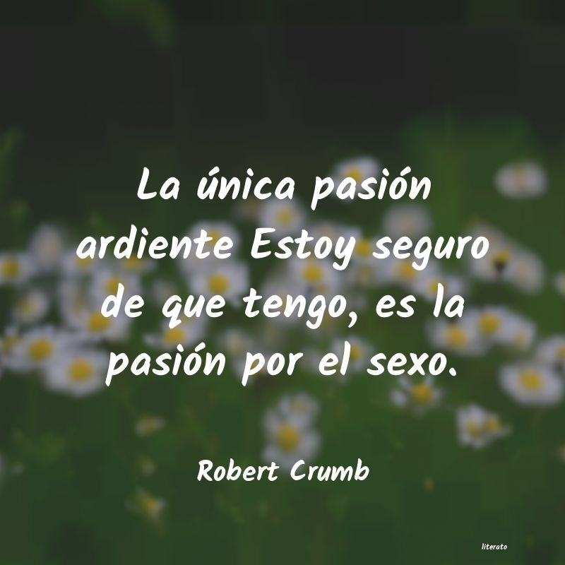 frases de Robert Crumb