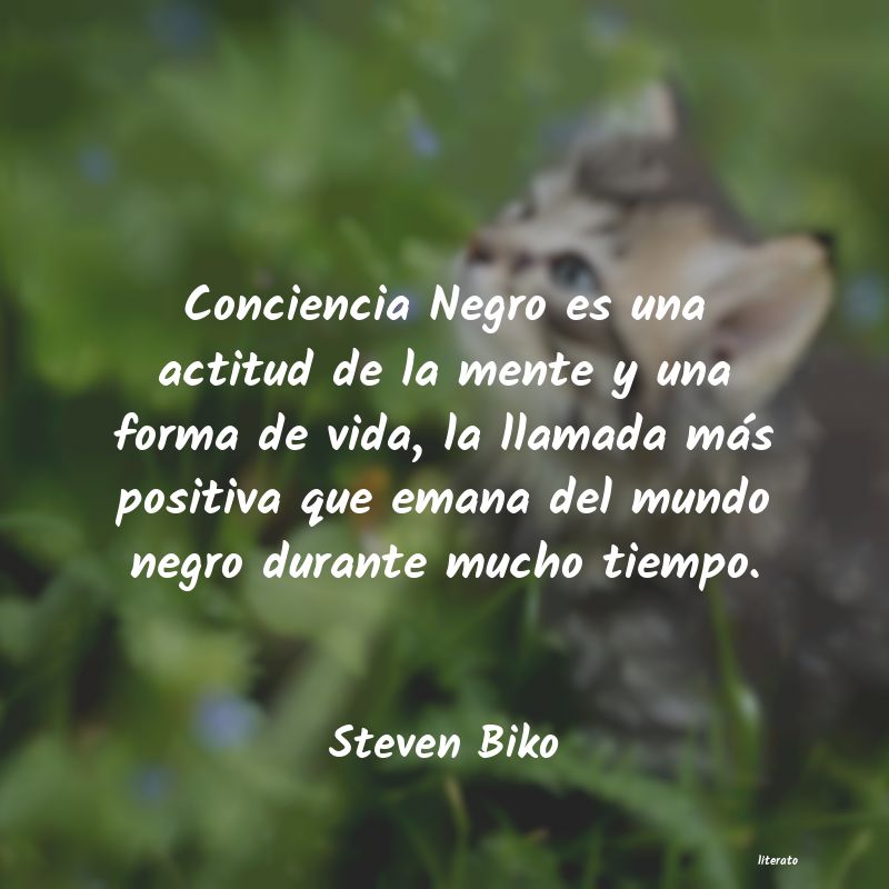 frases de Steven Biko