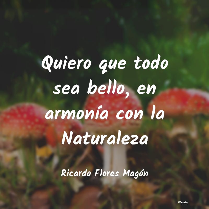 Frases de Ricardo Flores Magón