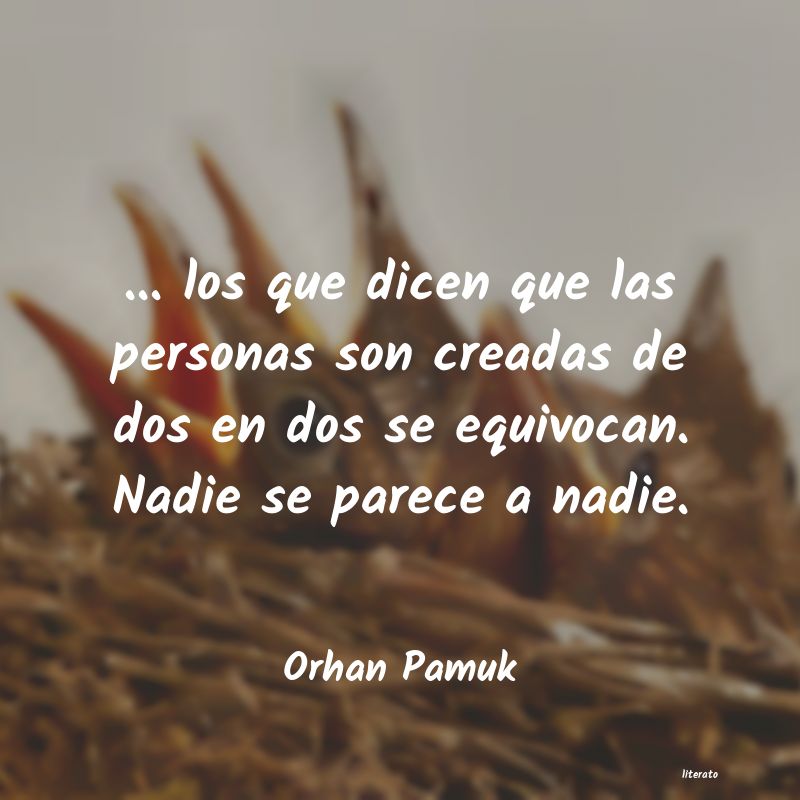 Frases de Orhan Pamuk