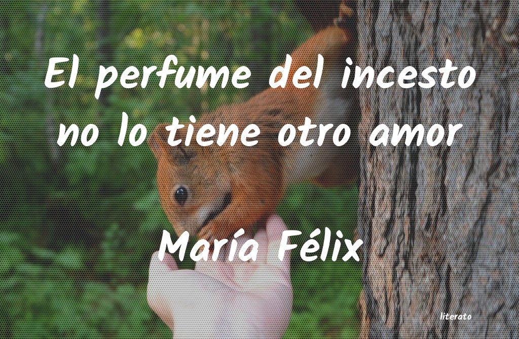 frases de MarÃa Félix