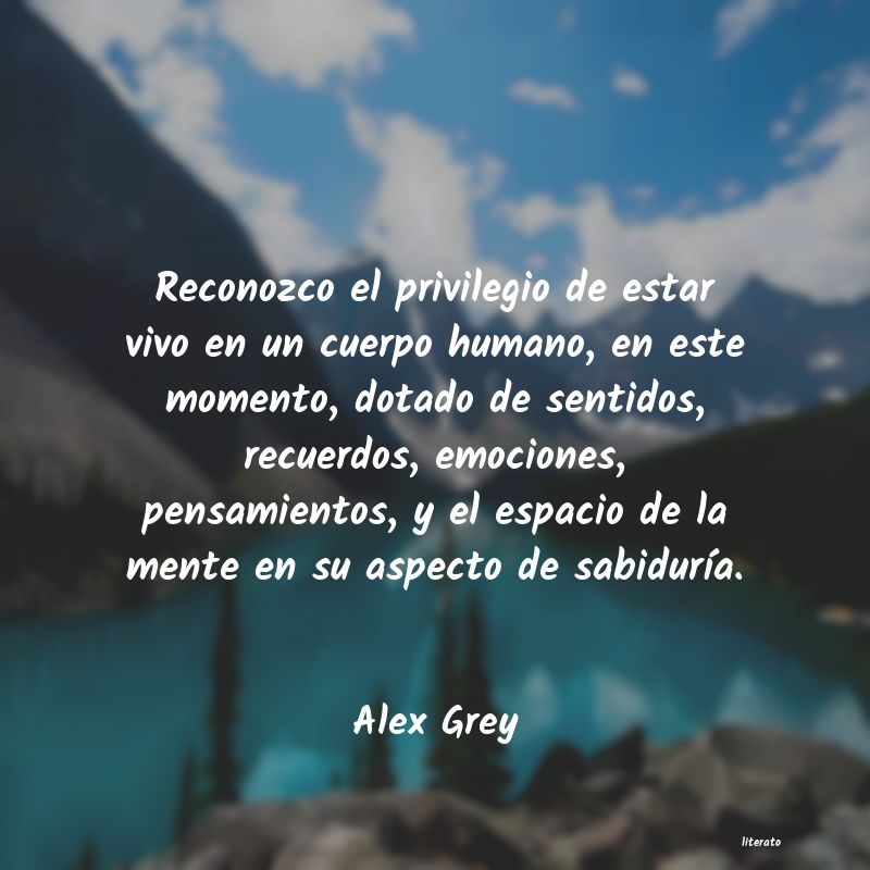 frases de Alex Grey