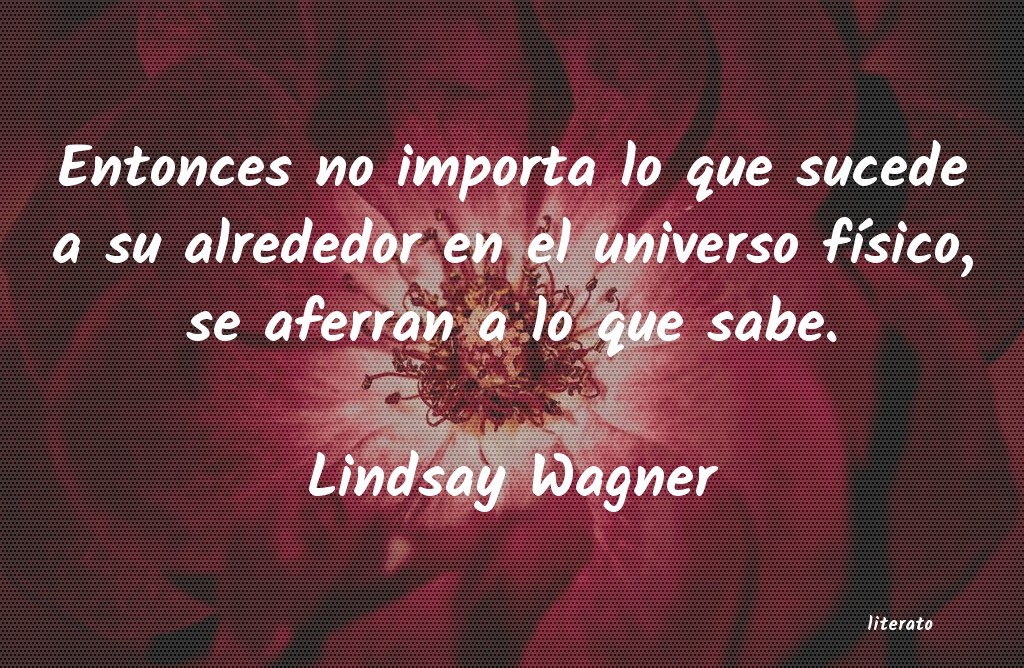 frases de Lindsay Wagner