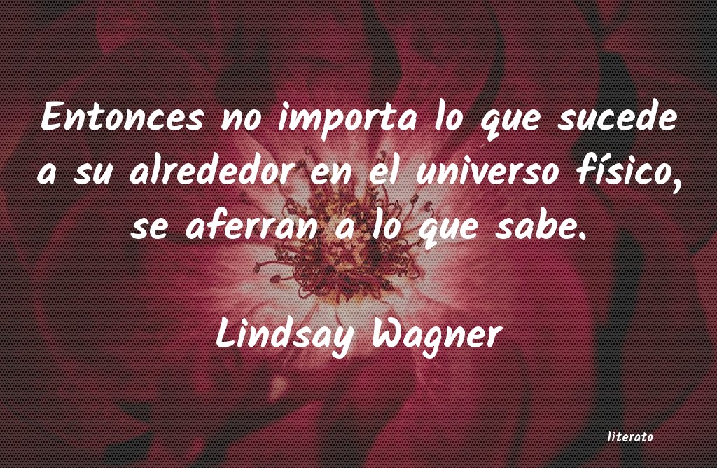 Frases de Lindsay Wagner