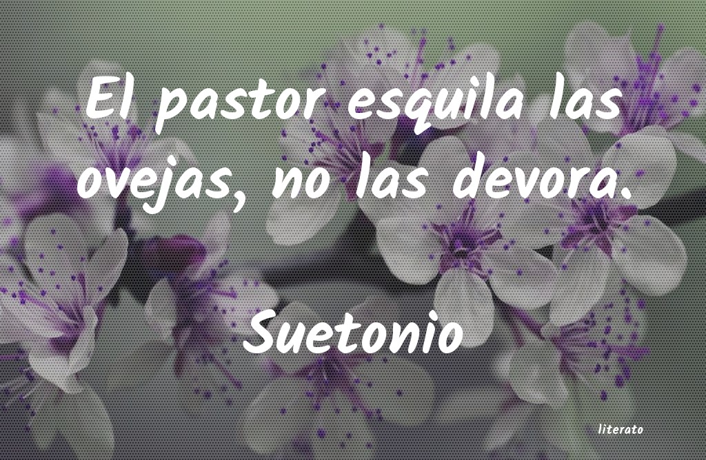 Frases de Suetonio