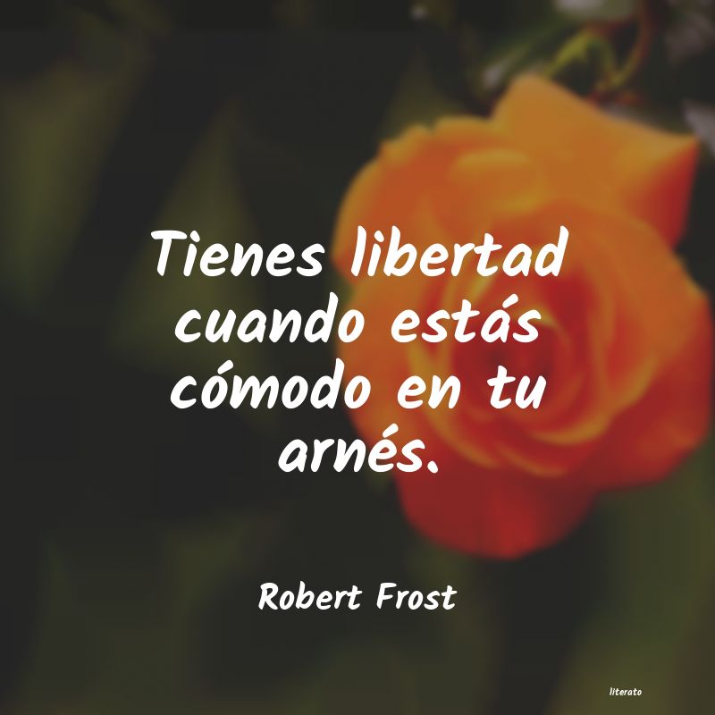 Frases de Robert Frost