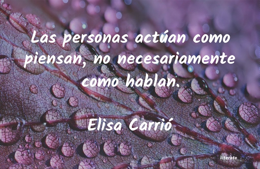 frases de Elisa Carrió