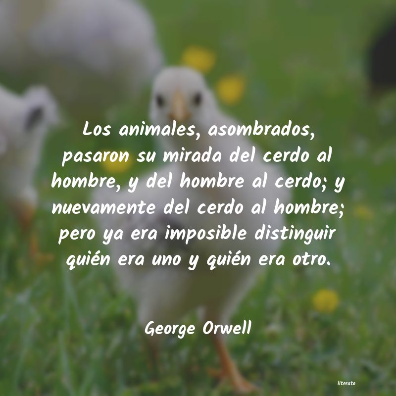 frases de George Orwell