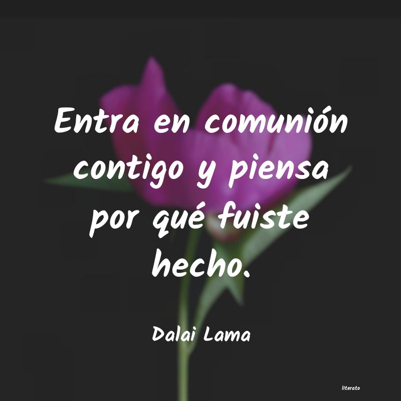 ayudar al enemigo dalai lama