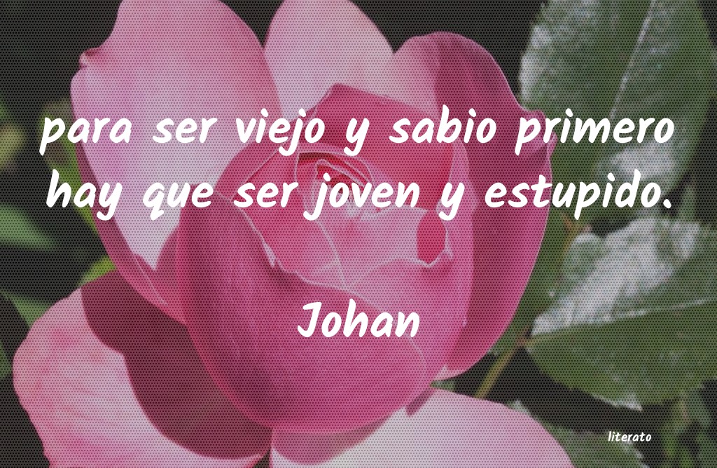 frases de Johan