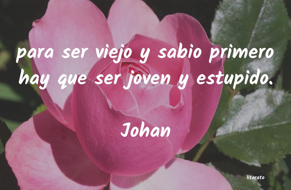 Frases de Johan