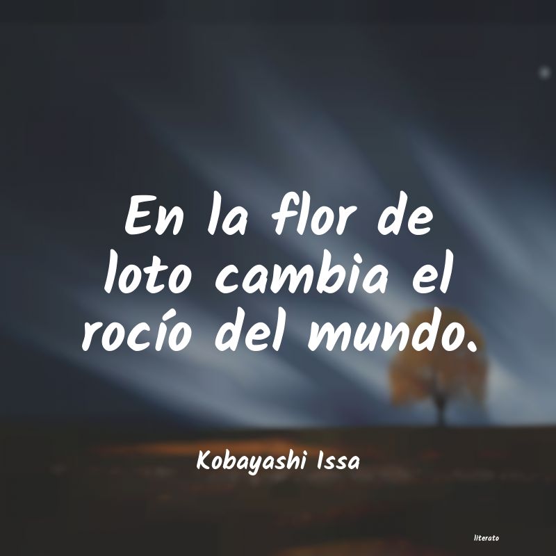 frases de Kobayashi Issa