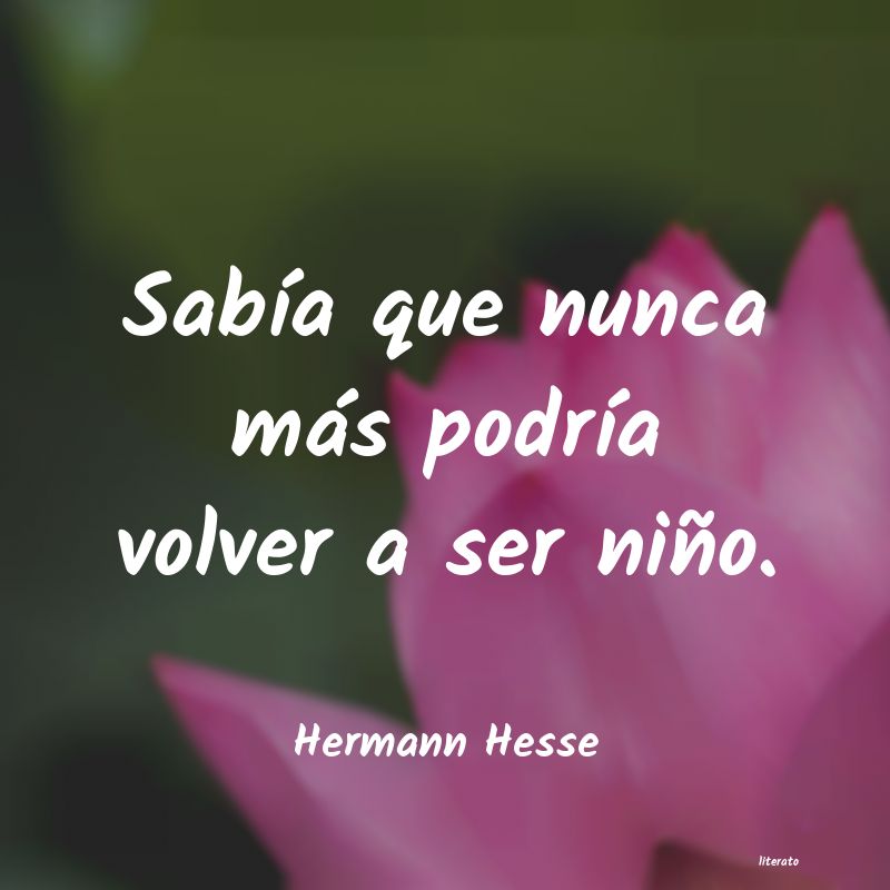 Frases de Hermann Hesse