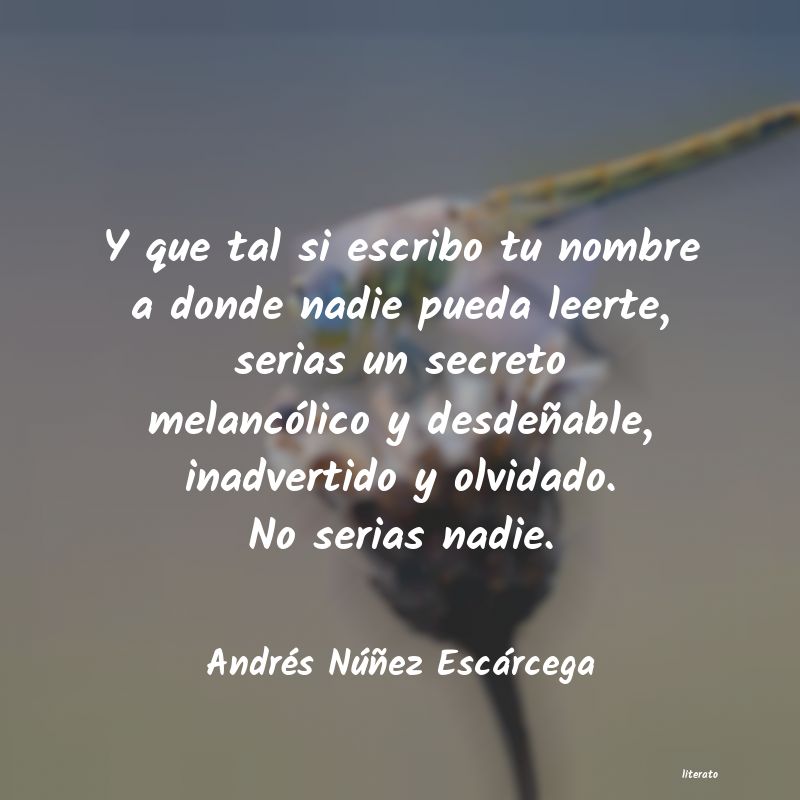 Frases de Andrés Núñez Escárcega