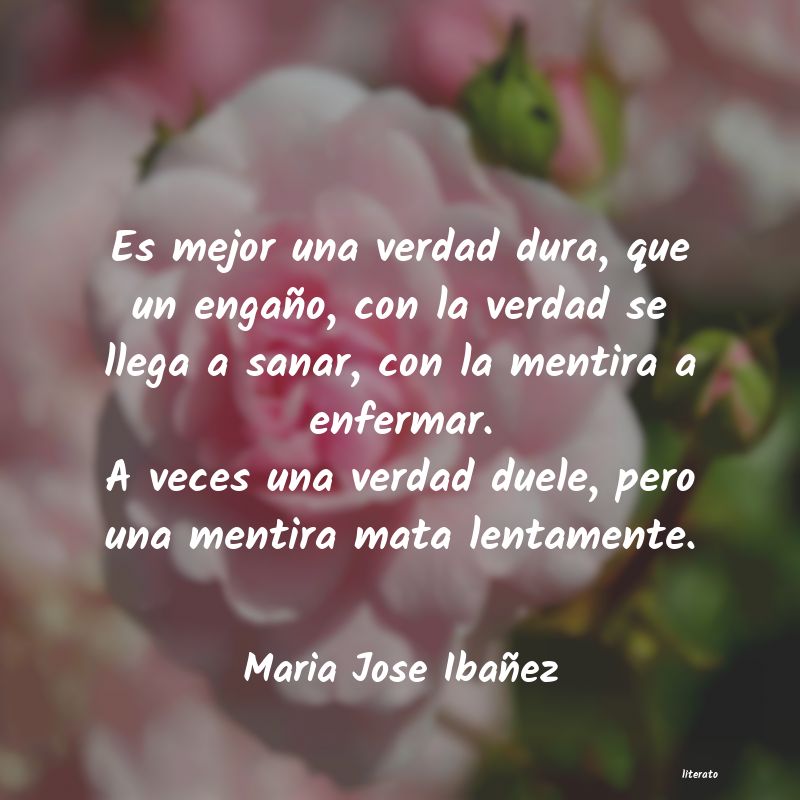 Frases de Maria Jose Ibañez