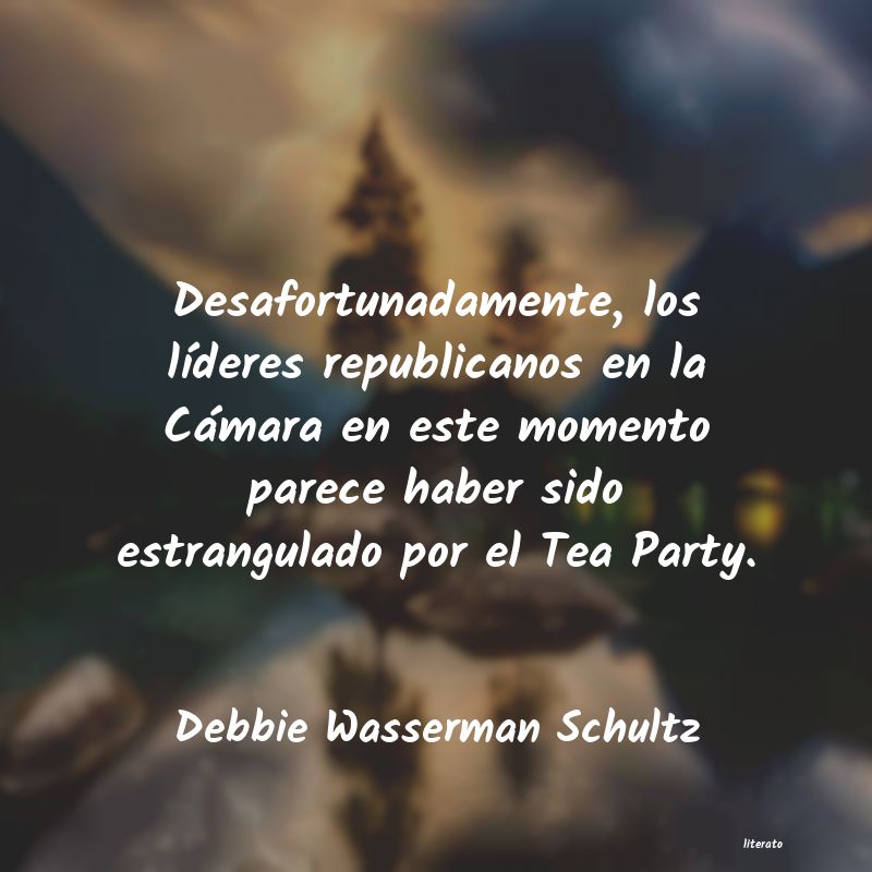 Frases de Debbie Wasserman Schultz