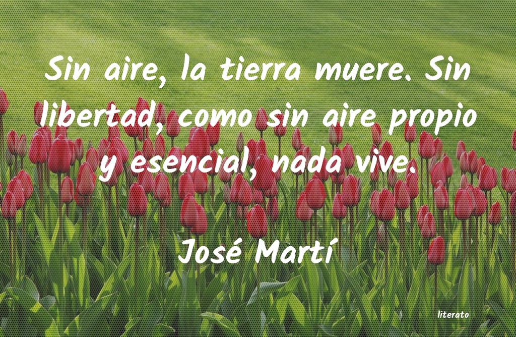 Frases de José Martí