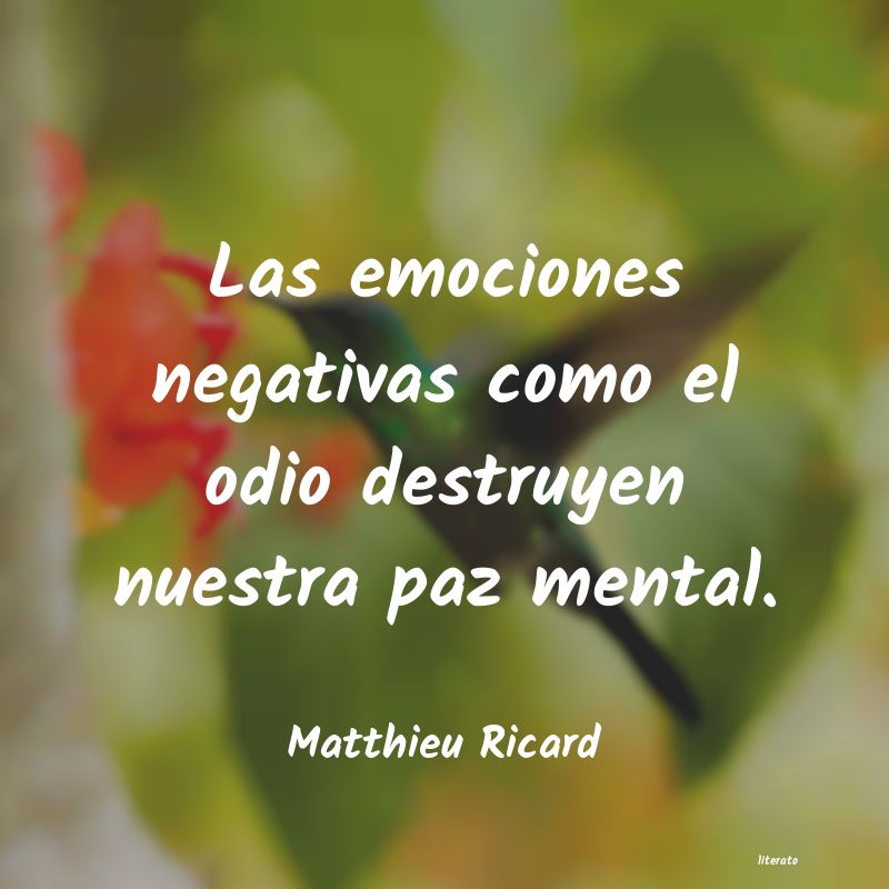 frases de Matthieu Ricard