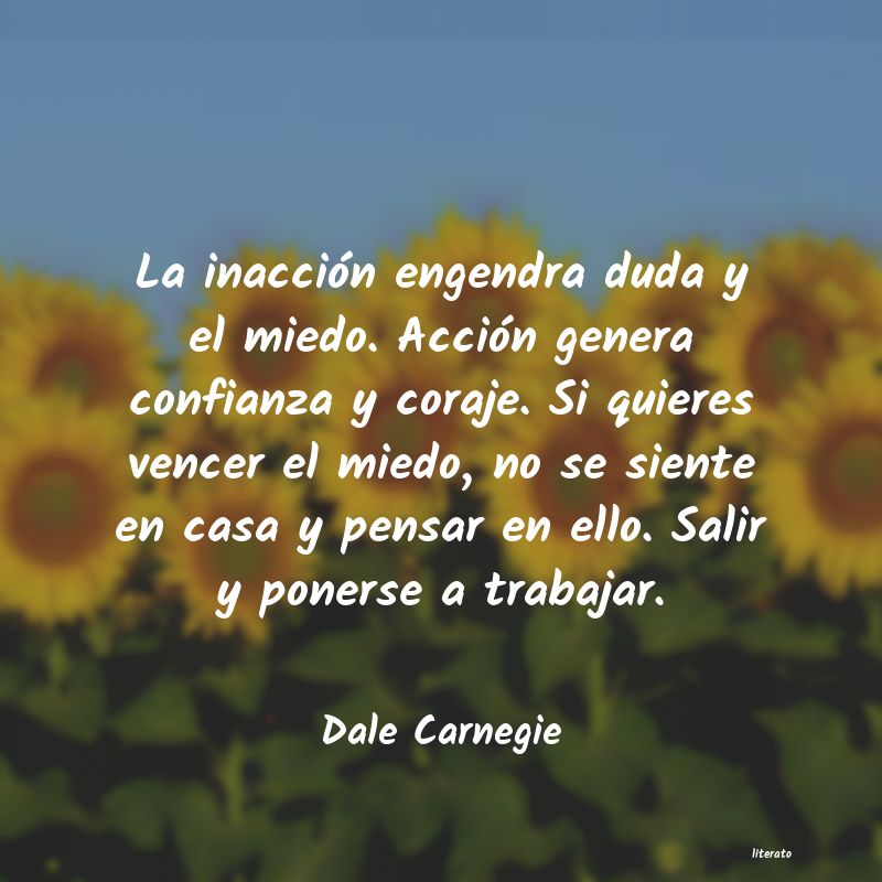 frases para vencer obstaculos