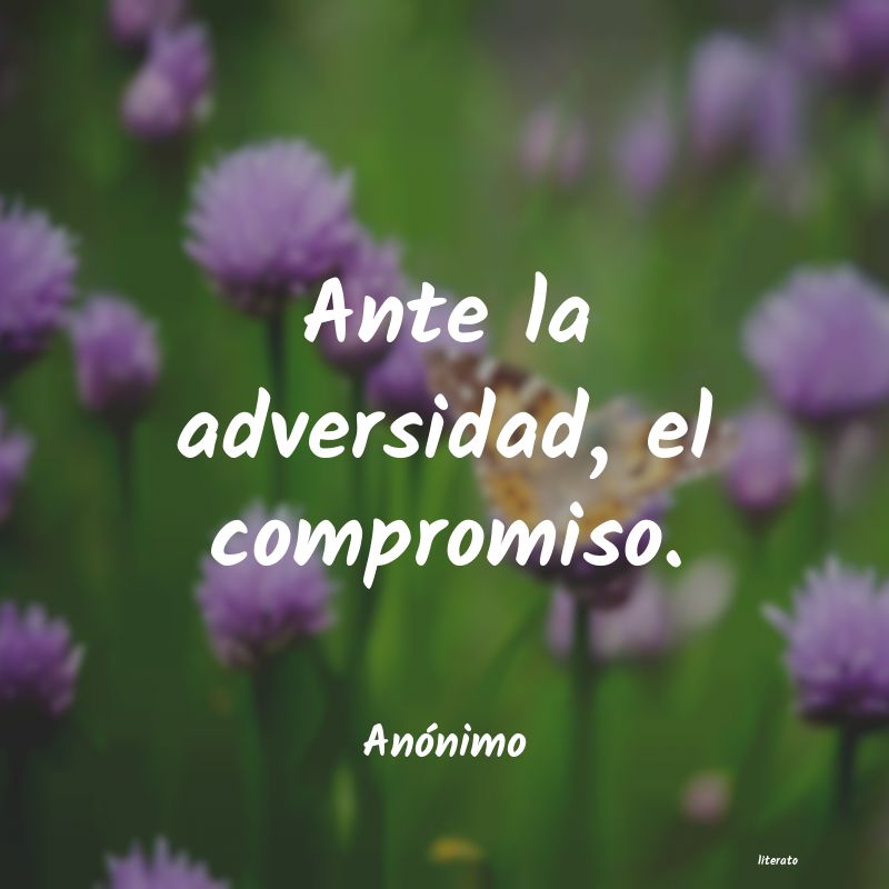 frases ante la adversidad