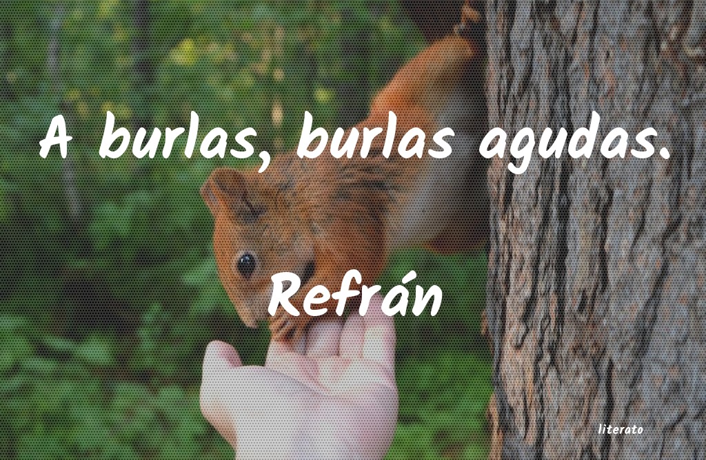 frases de Refrán