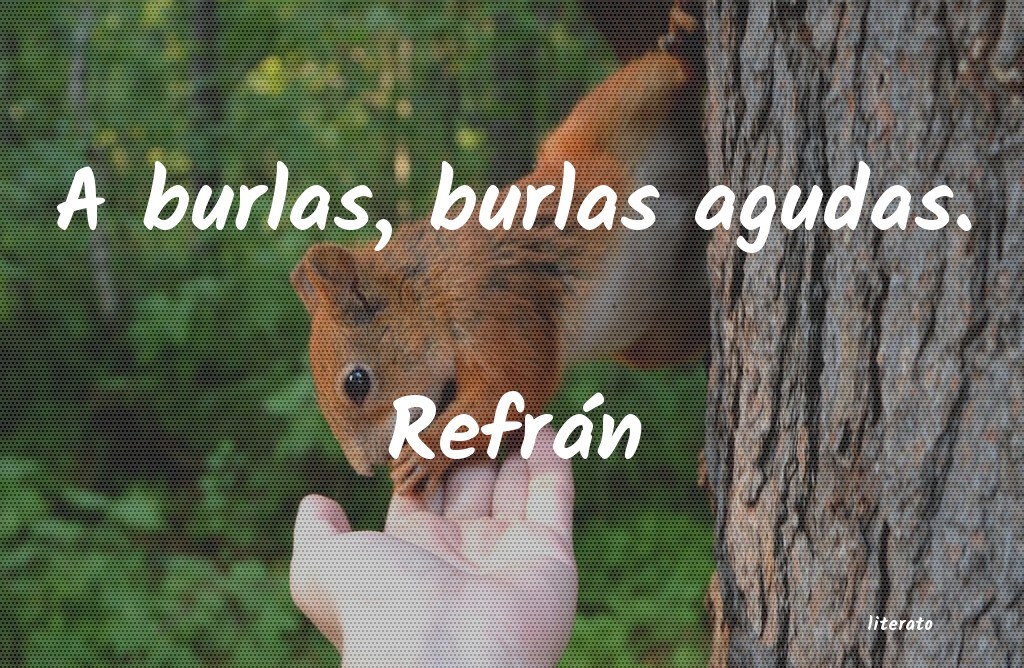 frases de burlas