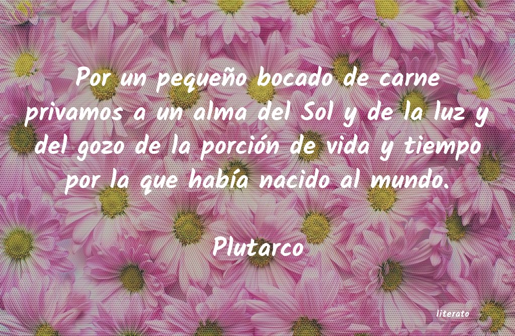 frases de Plutarco