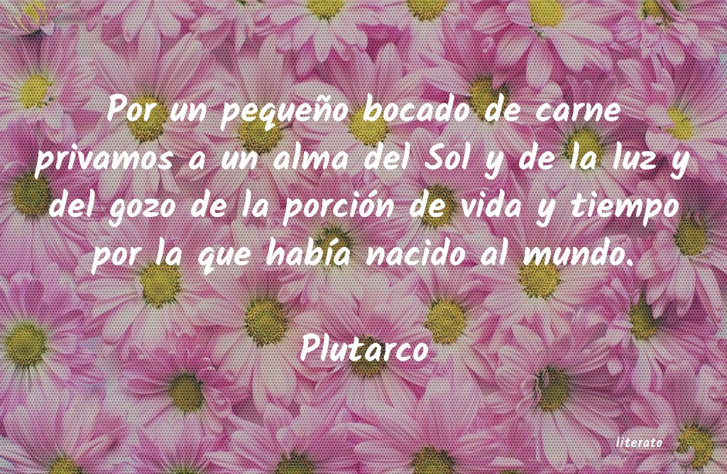 Frases de Plutarco