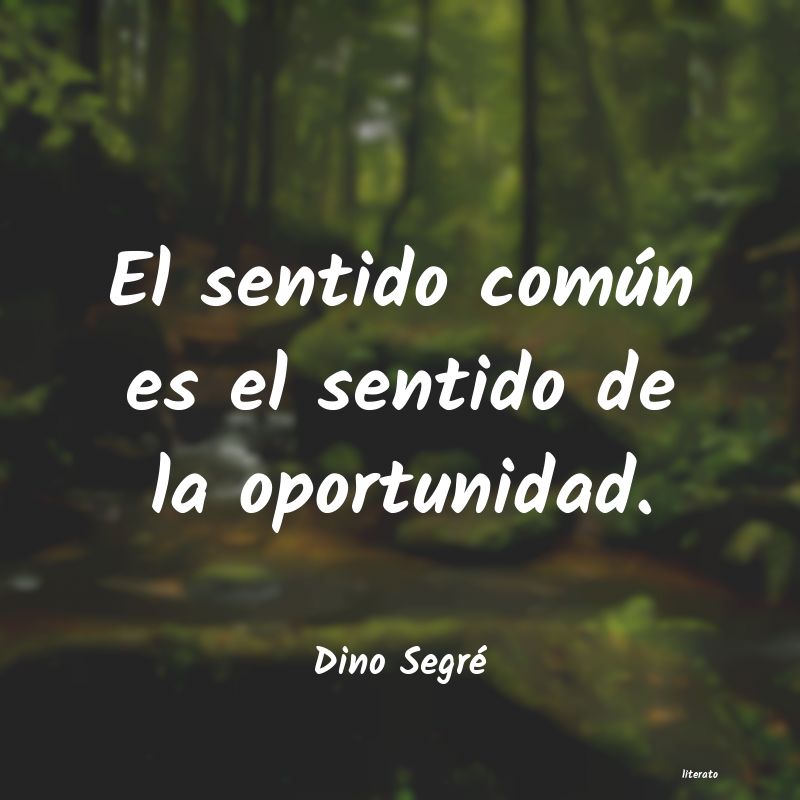 Frases de Dino Segré