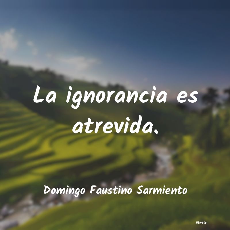 frases cortas de la ignorancia