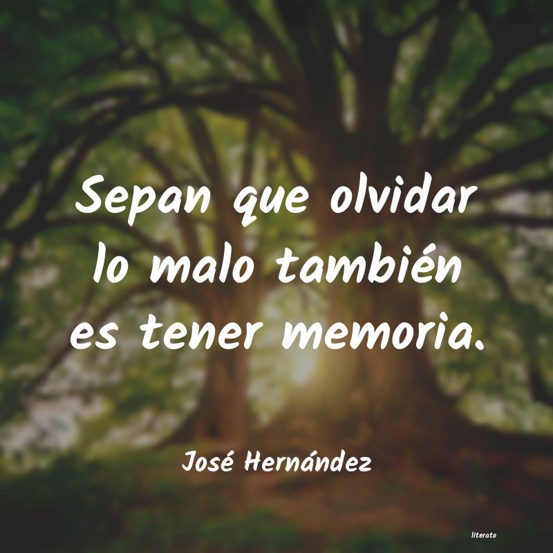 Frases de José Hernández