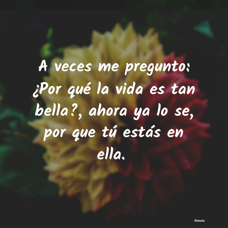 frases